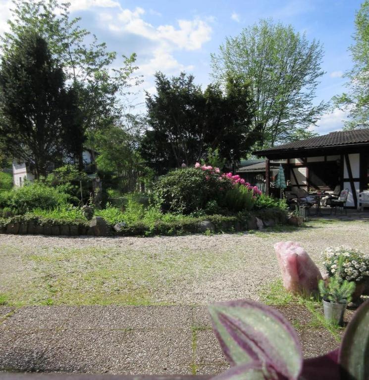 Doppelzimmer / Landhaus Ederlust Heilungsraeume E.V. Hatzfeld Exterior foto